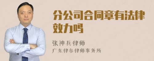 分公司合同章有法律效力吗