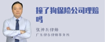 撞了狗保险公司理赔吗