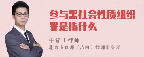 参与黑社会性质组织罪是指什么