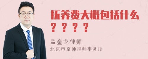 抚养费大概包括什么? ? ? ?