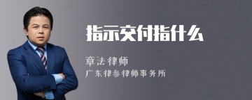 指示交付指什么