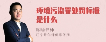 环境污染罪处罚标准是什么