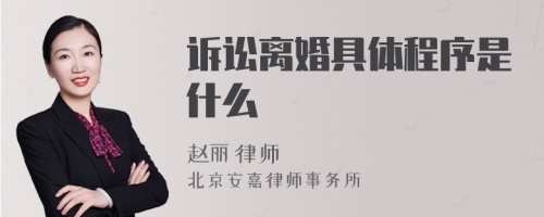 诉讼离婚具体程序是什么