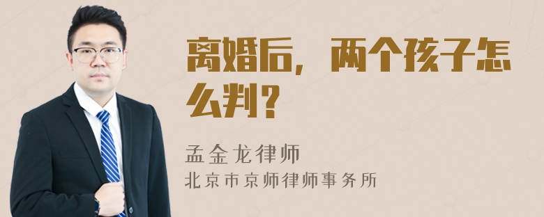 离婚后，两个孩子怎么判？