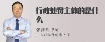 行政处罚主体的是什么