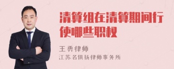 清算组在清算期间行使哪些职权