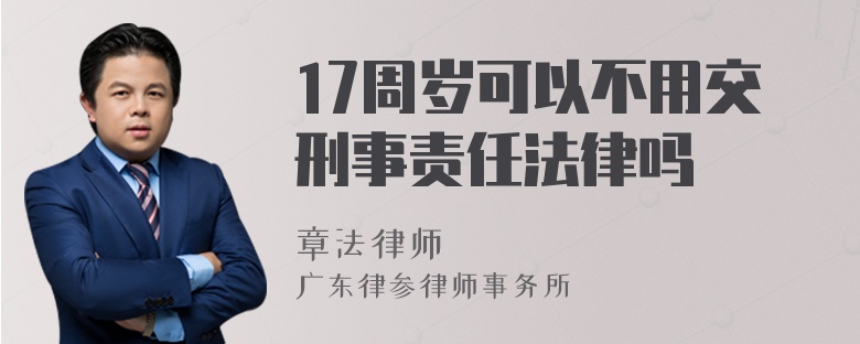 17周岁可以不用交刑事责任法律吗