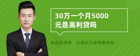 30万一个月5000元是高利贷吗