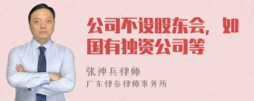 公司不设股东会，如国有独资公司等