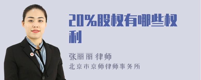 20%股权有哪些权利