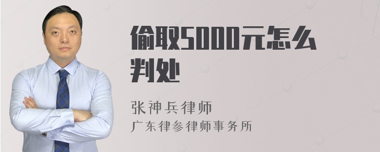 偷取5000元怎么判处