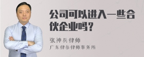 公司可以进入一些合伙企业吗？