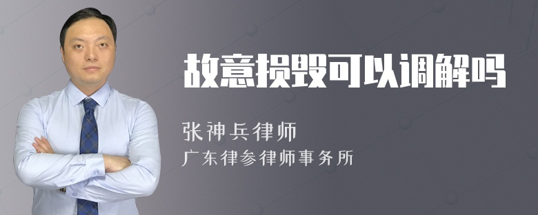 故意损毁可以调解吗