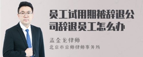 员工试用期被辞退公司辞退员工怎么办