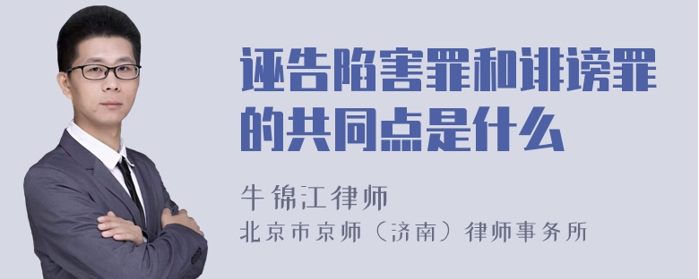 诬告陷害罪和诽谤罪的共同点是什么