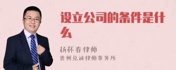 设立公司的条件是什么