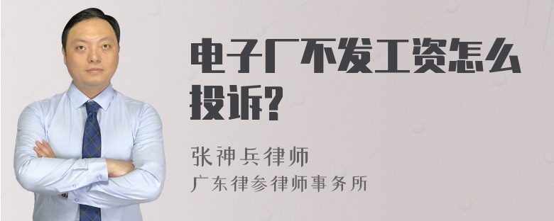 电子厂不发工资怎么投诉?