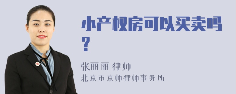 小产权房可以买卖吗？