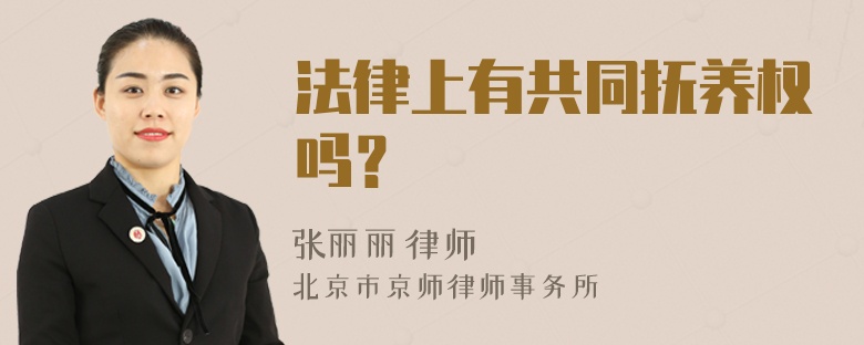 法律上有共同抚养权吗？