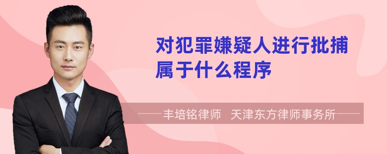 对犯罪嫌疑人进行批捕属于什么程序