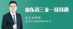 山东省三支一扶待遇