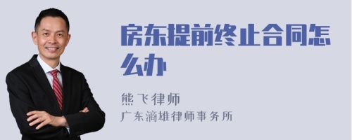 房东提前终止合同怎么办