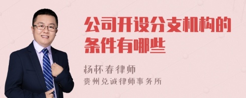 公司开设分支机构的条件有哪些