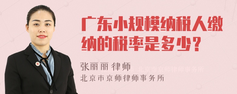 广东小规模纳税人缴纳的税率是多少？