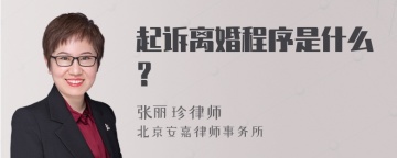 起诉离婚程序是什么？