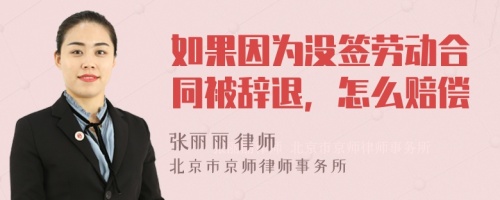 如果因为没签劳动合同被辞退，怎么赔偿