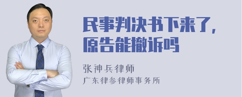 民事判决书下来了，原告能撤诉吗