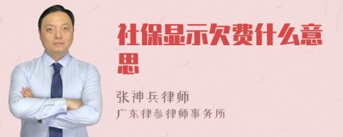 社保显示欠费什么意思