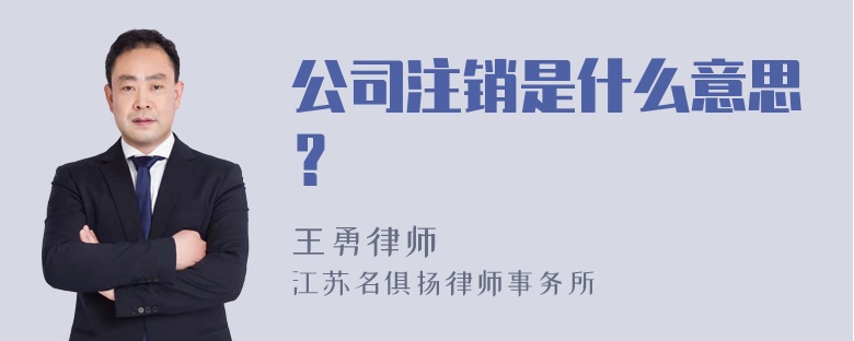 公司注销是什么意思？