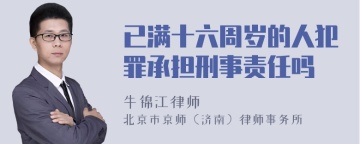 已满十六周岁的人犯罪承担刑事责任吗