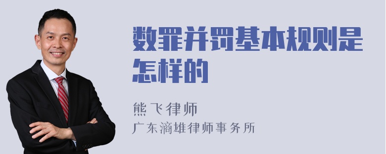 数罪并罚基本规则是怎样的