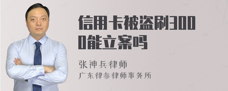 信用卡被盗刷3000能立案吗