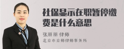 社保显示在职暂停缴费是什么意思