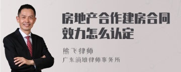 房地产合作建房合同效力怎么认定