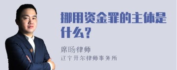 挪用资金罪的主体是什么？