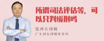 所谓司法评估等，可以只判缓刑吗