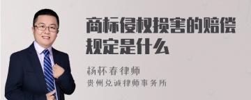 商标侵权损害的赔偿规定是什么