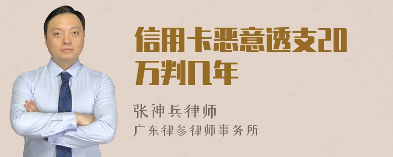 信用卡恶意透支20万判几年