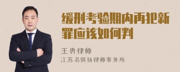 缓刑考验期内再犯新罪应该如何判