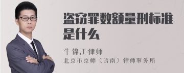 盗窃罪数额量刑标准是什么