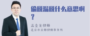 偷税漏税什么意思啊？