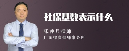 社保基数表示什么