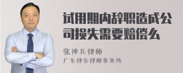 试用期内辞职造成公司损失需要赔偿么