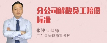 分公司解散员工赔偿标准