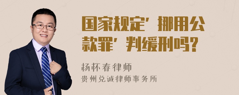 国家规定" 挪用公款罪" 判缓刑吗?