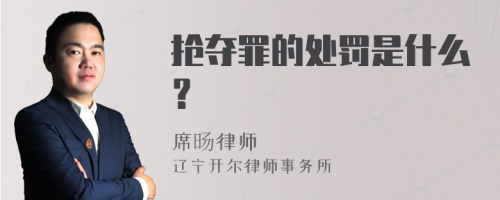 抢夺罪的处罚是什么？